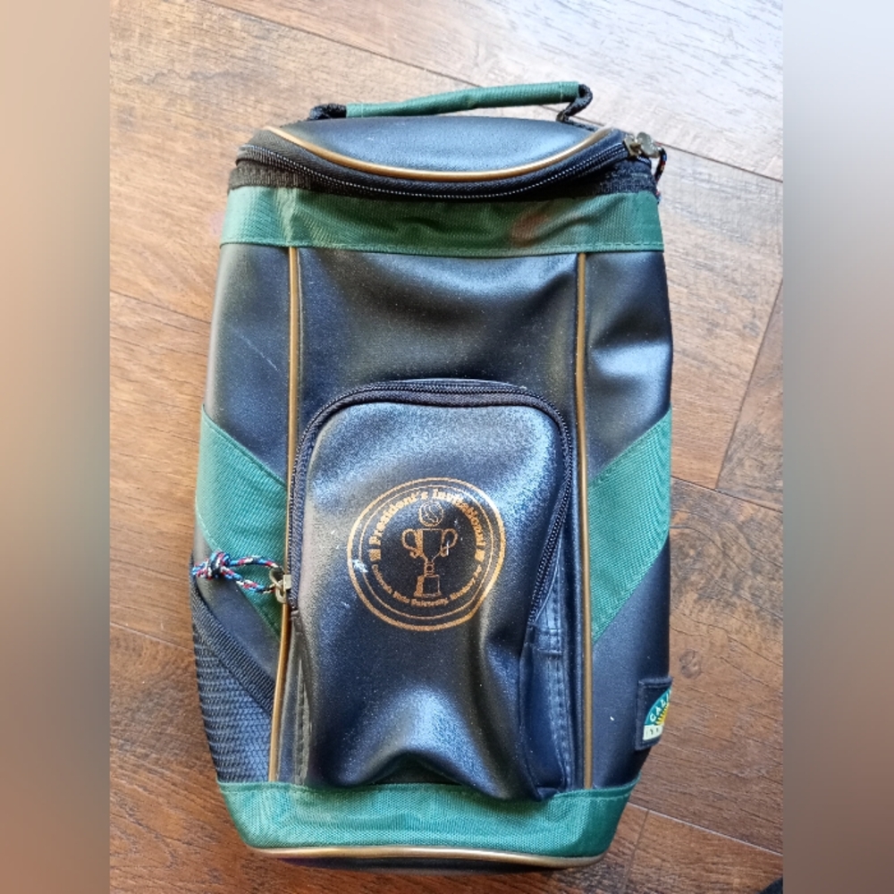 California Innovations Small cooler